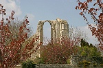 Abbaye de Maillezais 4