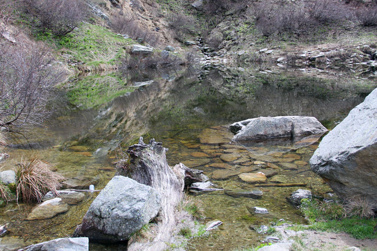 Reflet fuyant (lac d'Armancette)