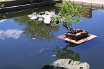 Jardin japonais
