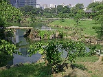 Tokyo, Jardin 1