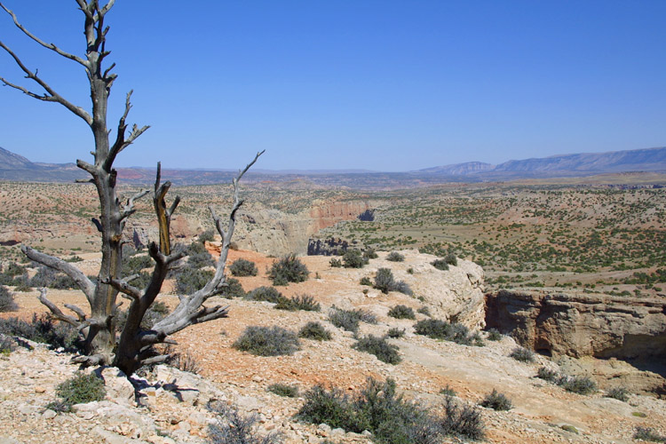 Bighorn National Rec. Area