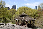 Central Park, New York 1