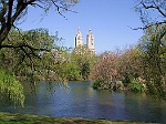 Central Park, New York 3