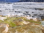 Cascades ptrifies (Mammoth Falls, Yellowstone)